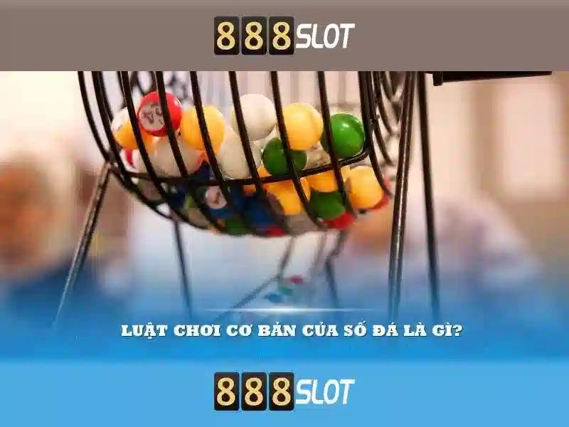 Hướng Dẫn Truy Cập Nhanh Chóng