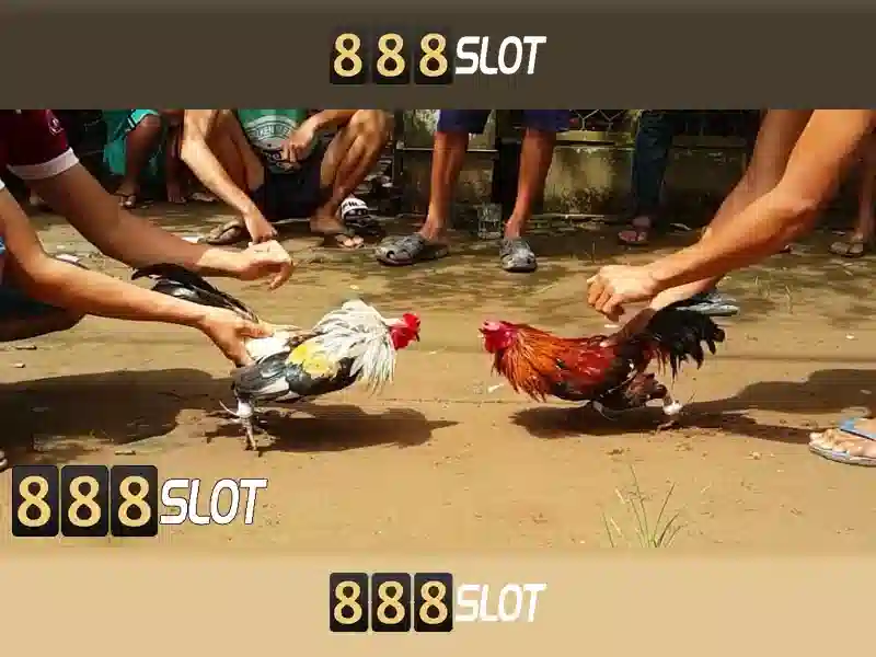 Cách Tận Dụng RTP Slot 888SLOT