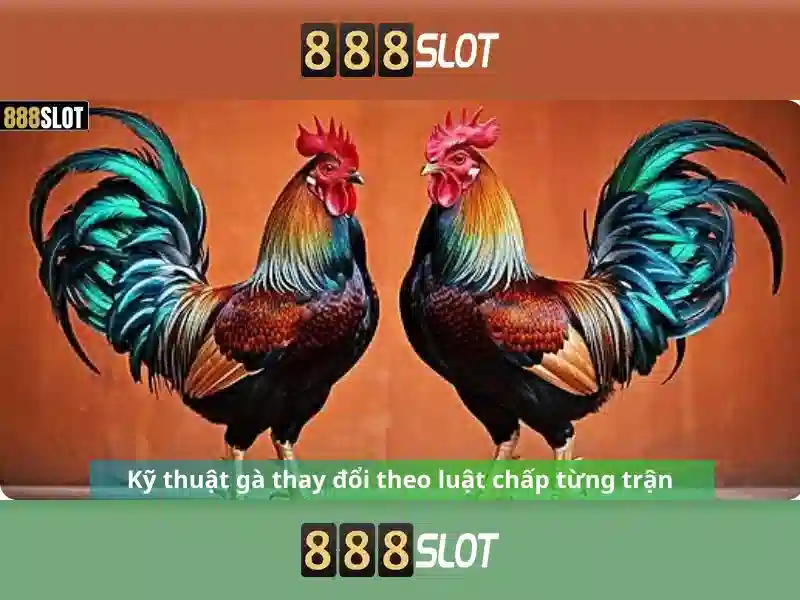 Khuyến Mãi Hoàn Trả 888SLOT