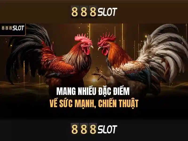 Giao Diện 888SLOT
