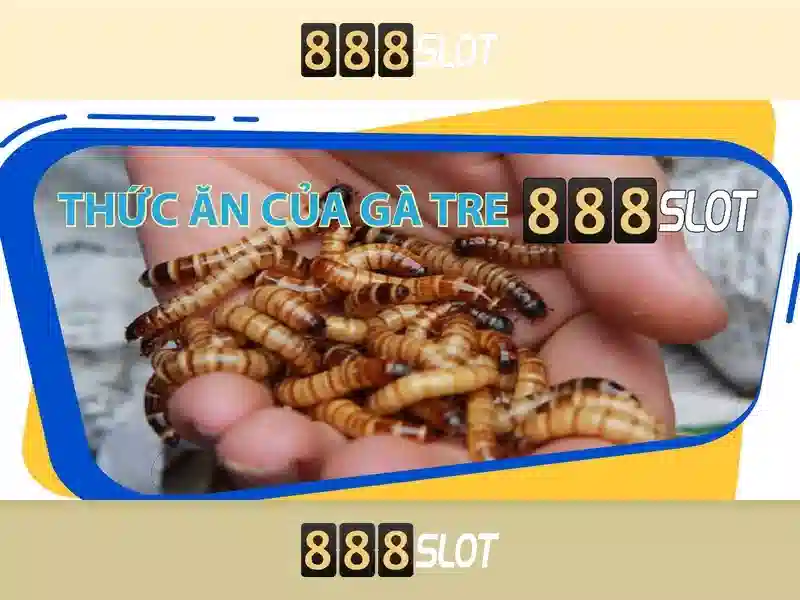Ưu điểm khi tải 888slot apk và trải nghiệm Slot trực tuyến