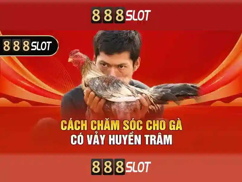 Bí Kíp Chinh Phục Đại Dương Tiền Thưởng Đẳng Cấp