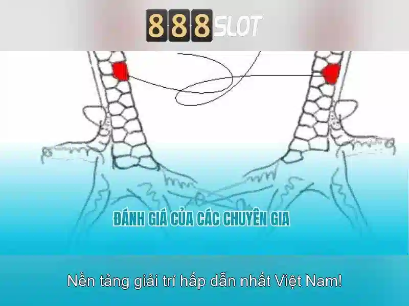 Ứng Dụng 888SLOT