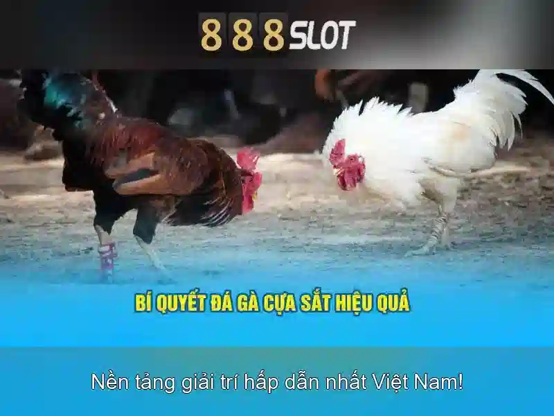 Hướng Dẫn Lấy Lại Mật Khẩu XN88