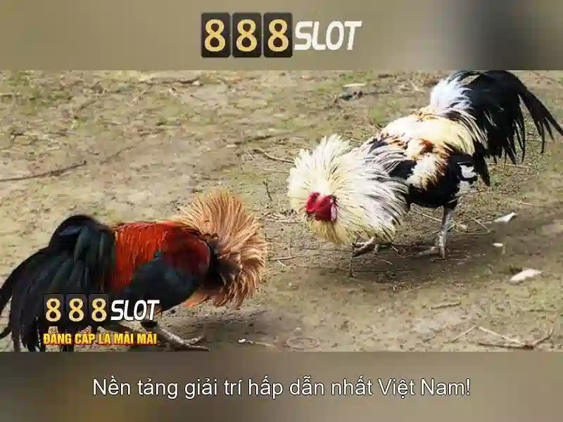 Tải 888slot APK MOD Miễn Phí Cho Người Chơi Slot