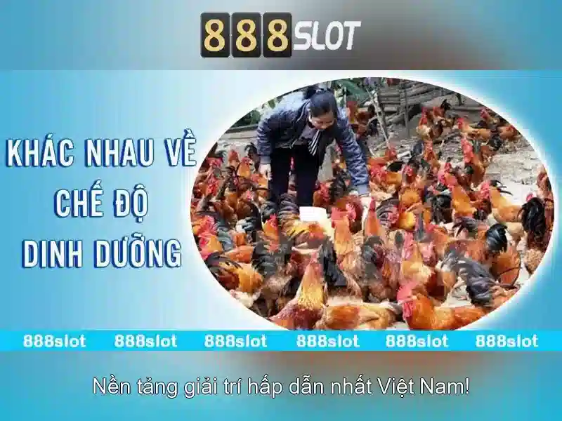 Slot 888