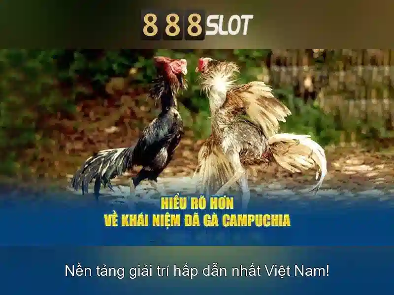 888SLOT – Trải Nghiệm Slot 5 Đỉnh Cao Cùng Kèo Cược Chuyên Nghiệp
